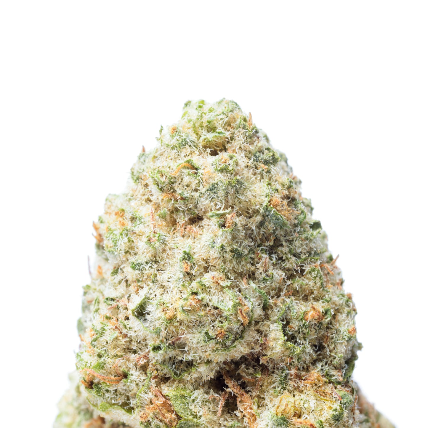 Jungle Pie 5grams(R70 per gram)