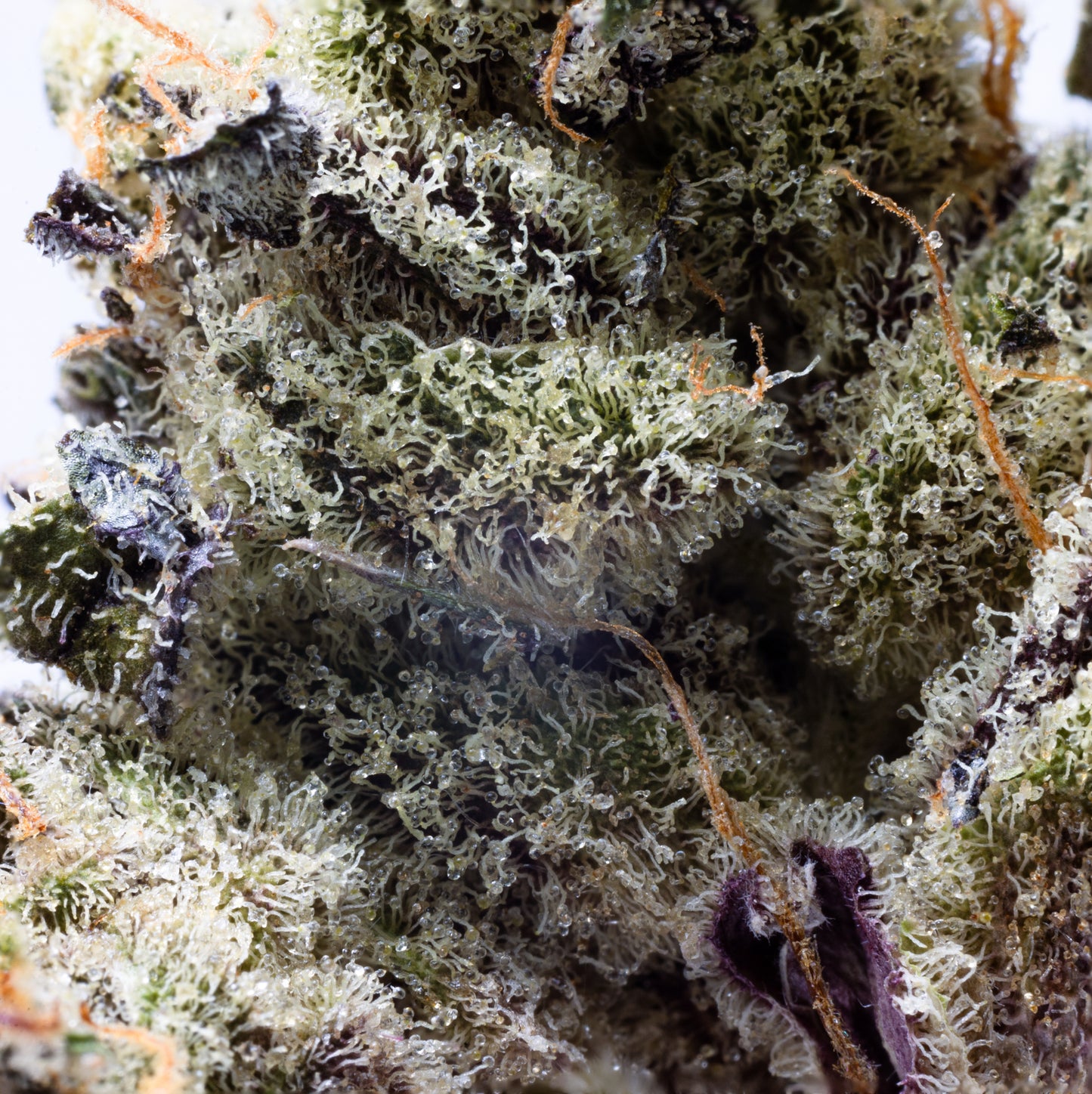 Mellows 5grams(R120 per gram)