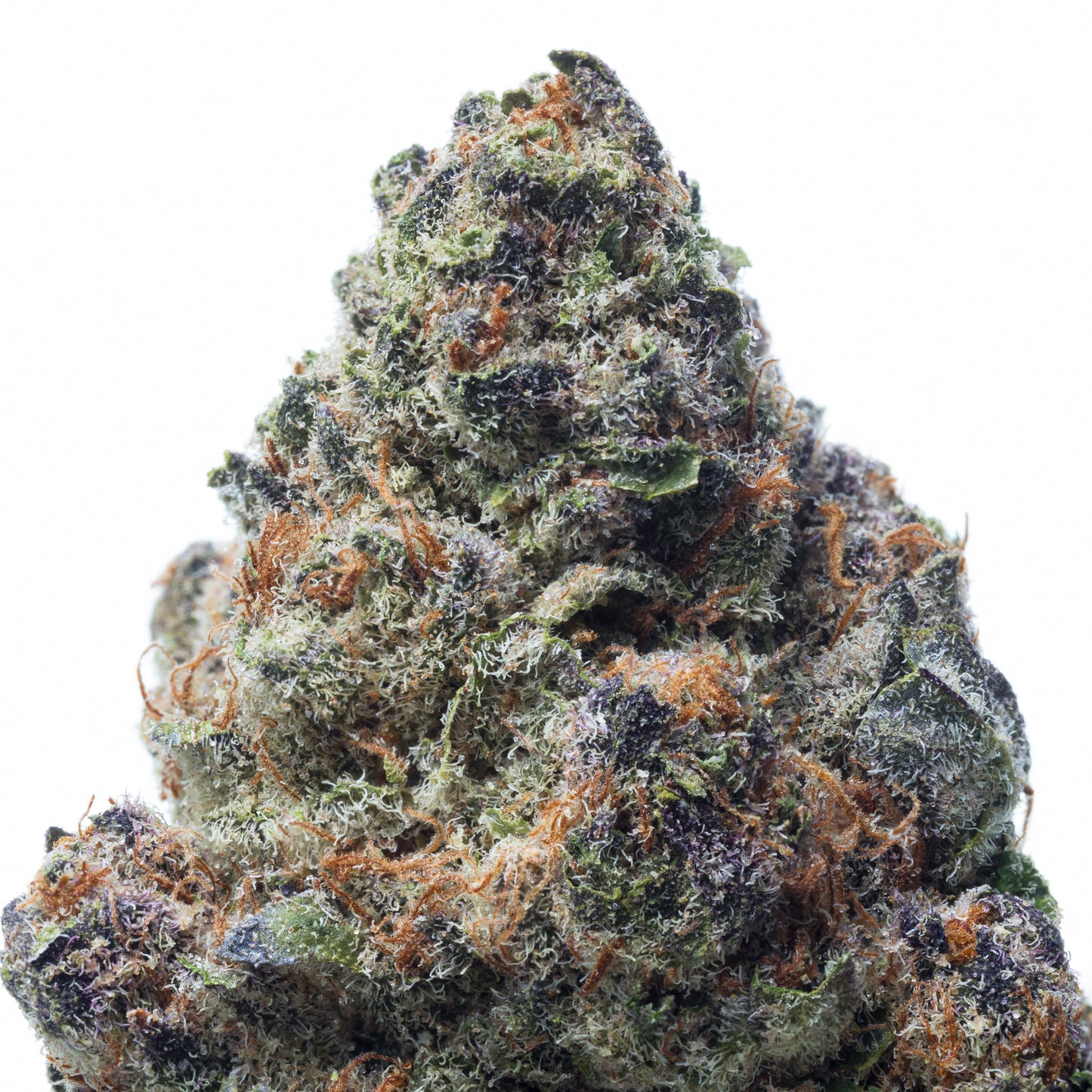 Blockberry Greendoor (R70 per gram)