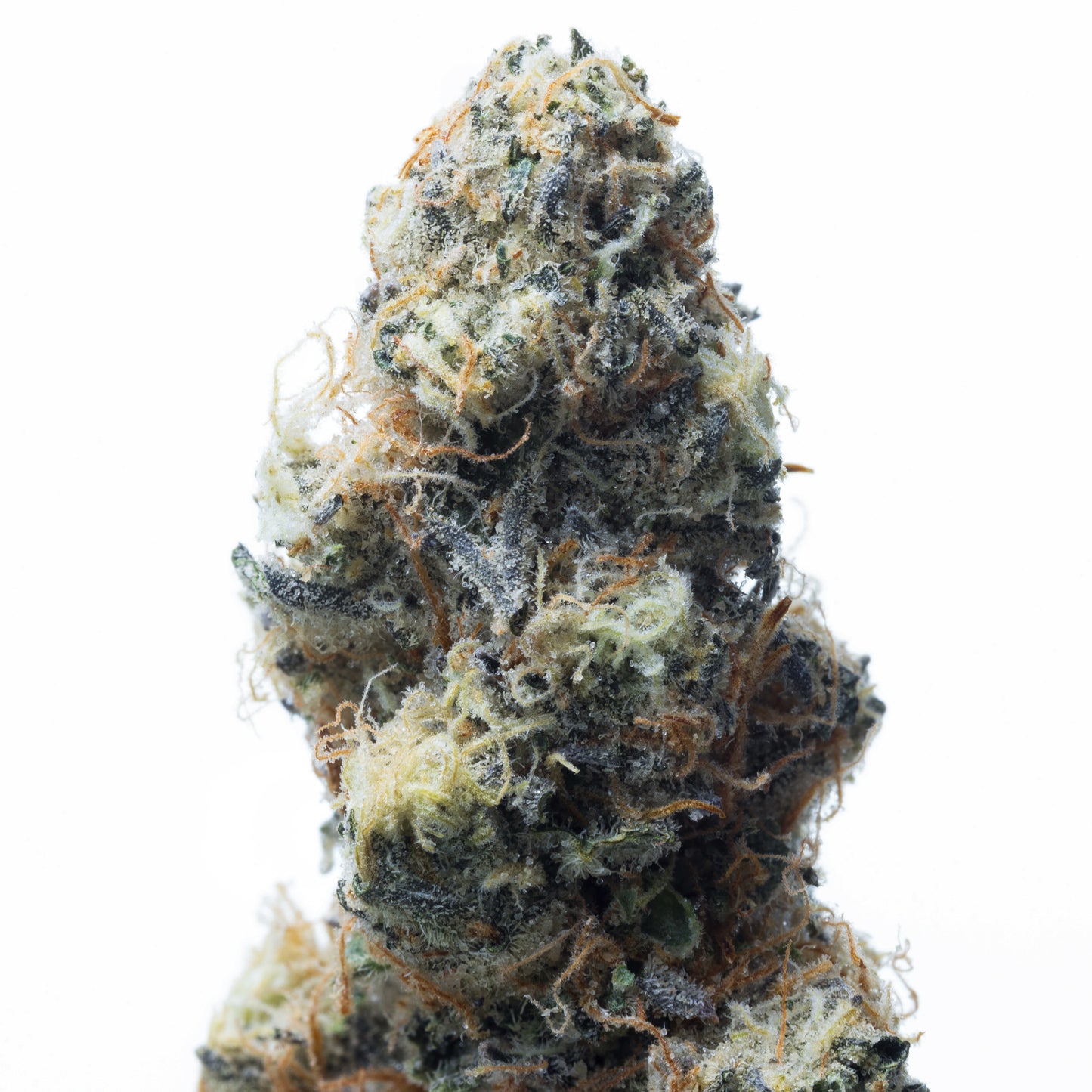 CALI ORANGE INDOOR 5GRAMS - R120 Per Gram