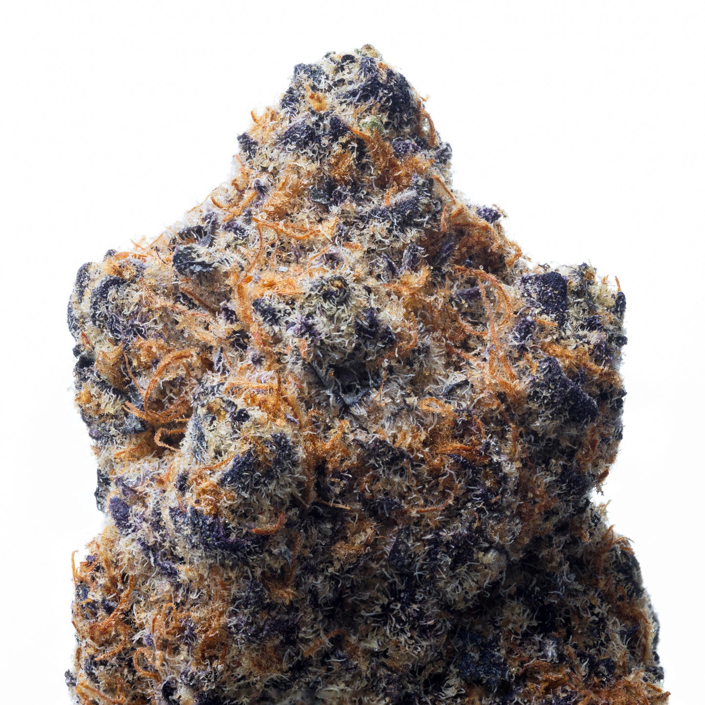 Monster Zkittles indoor 5 GRAM(120 PER GRAM)