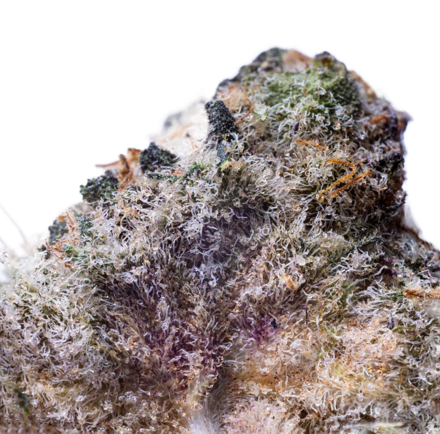 Blackberry Moonrocks 5grams(R120 per gram)