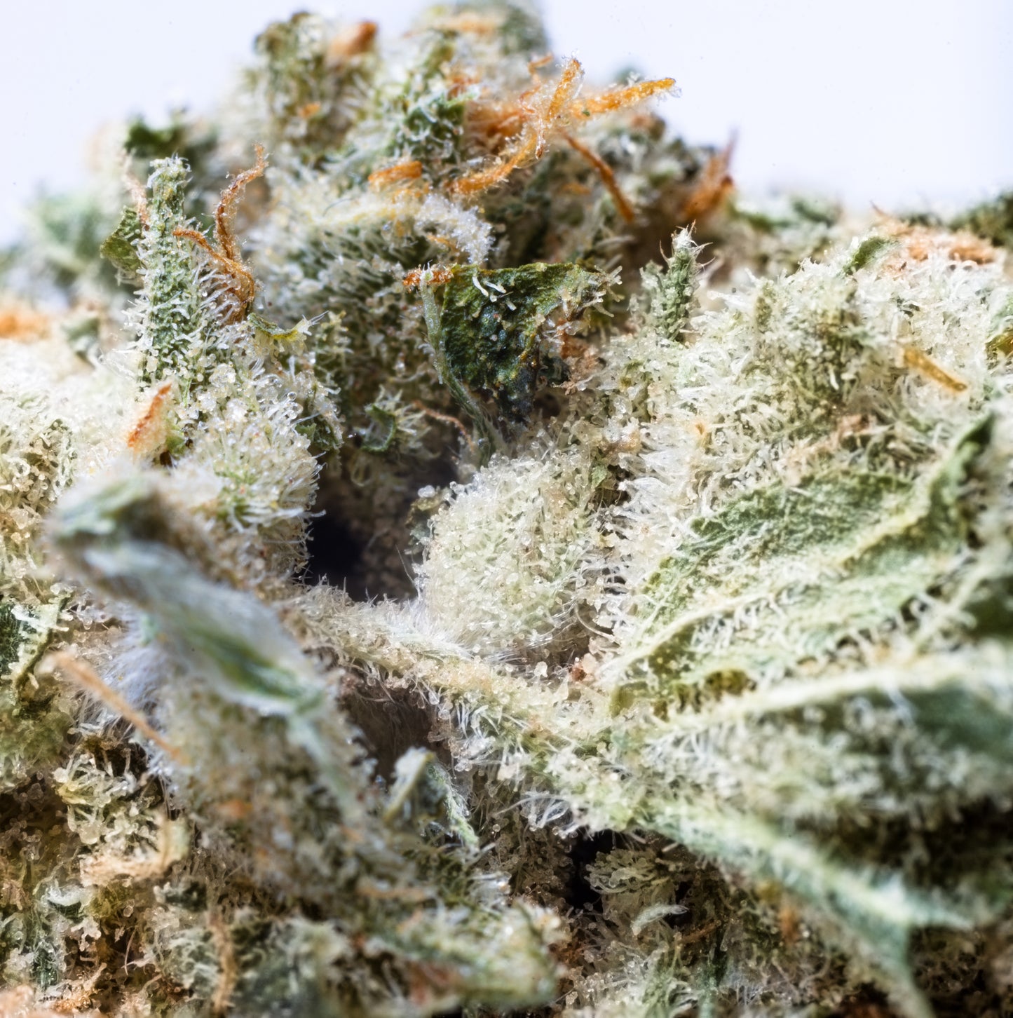 Green Goblin 5grams